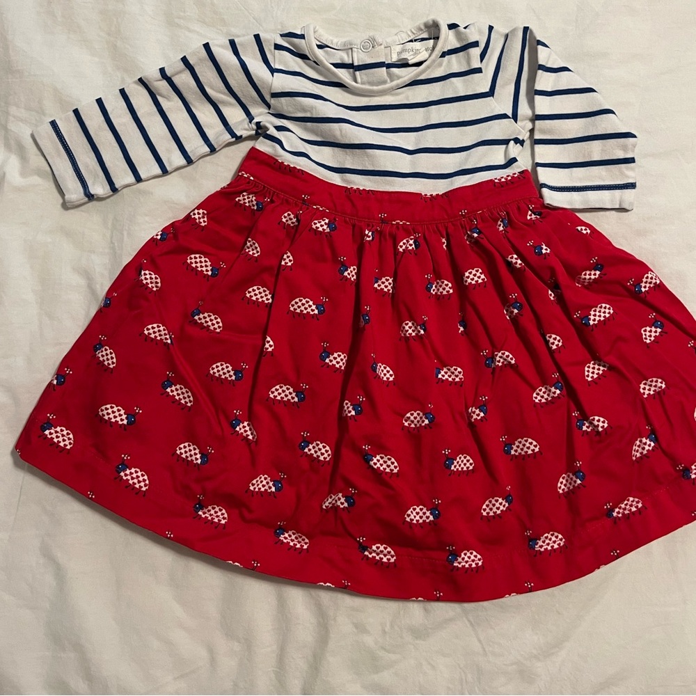 Ladybug Dress, 3-6mo
